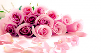 نشست صمیمی دانشجویان فیزیک با اعضا محترم هیات علمی دانشکده فیزیک